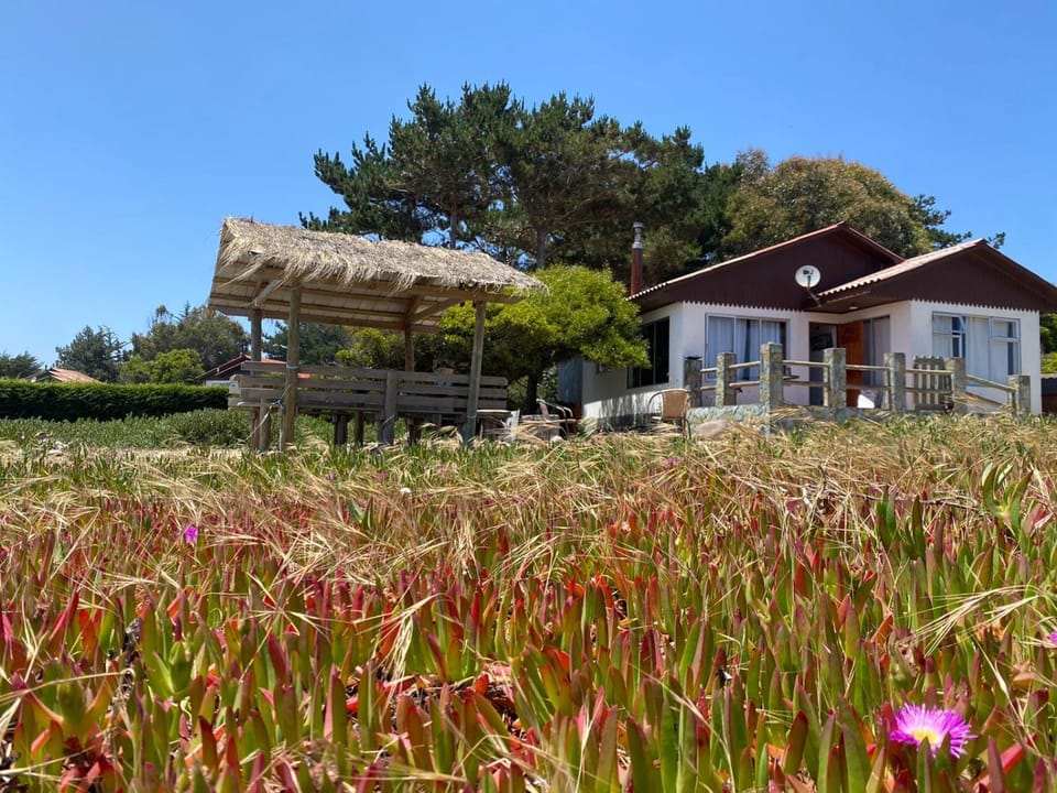 Property building, Spring, Day, Natural landscape, Garden, Garden view
