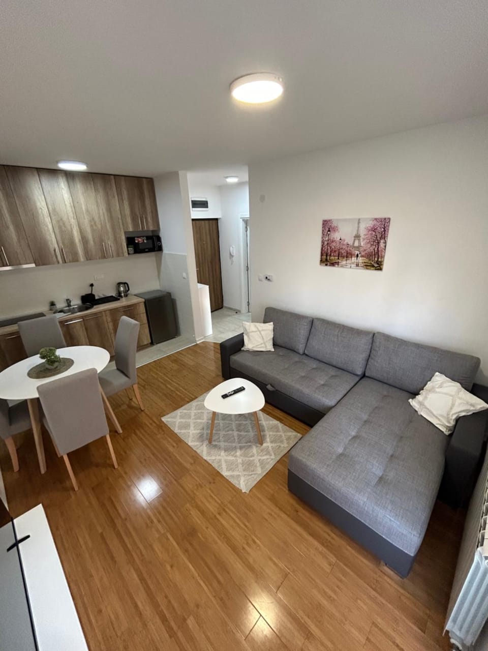 Delete 4 Apartment in Belgrade