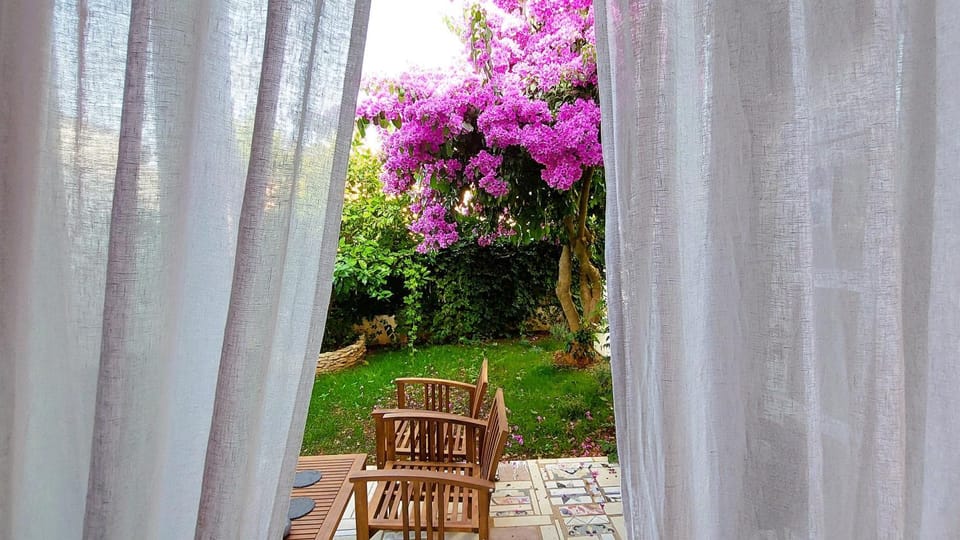 Patio, Day, Garden, Garden view