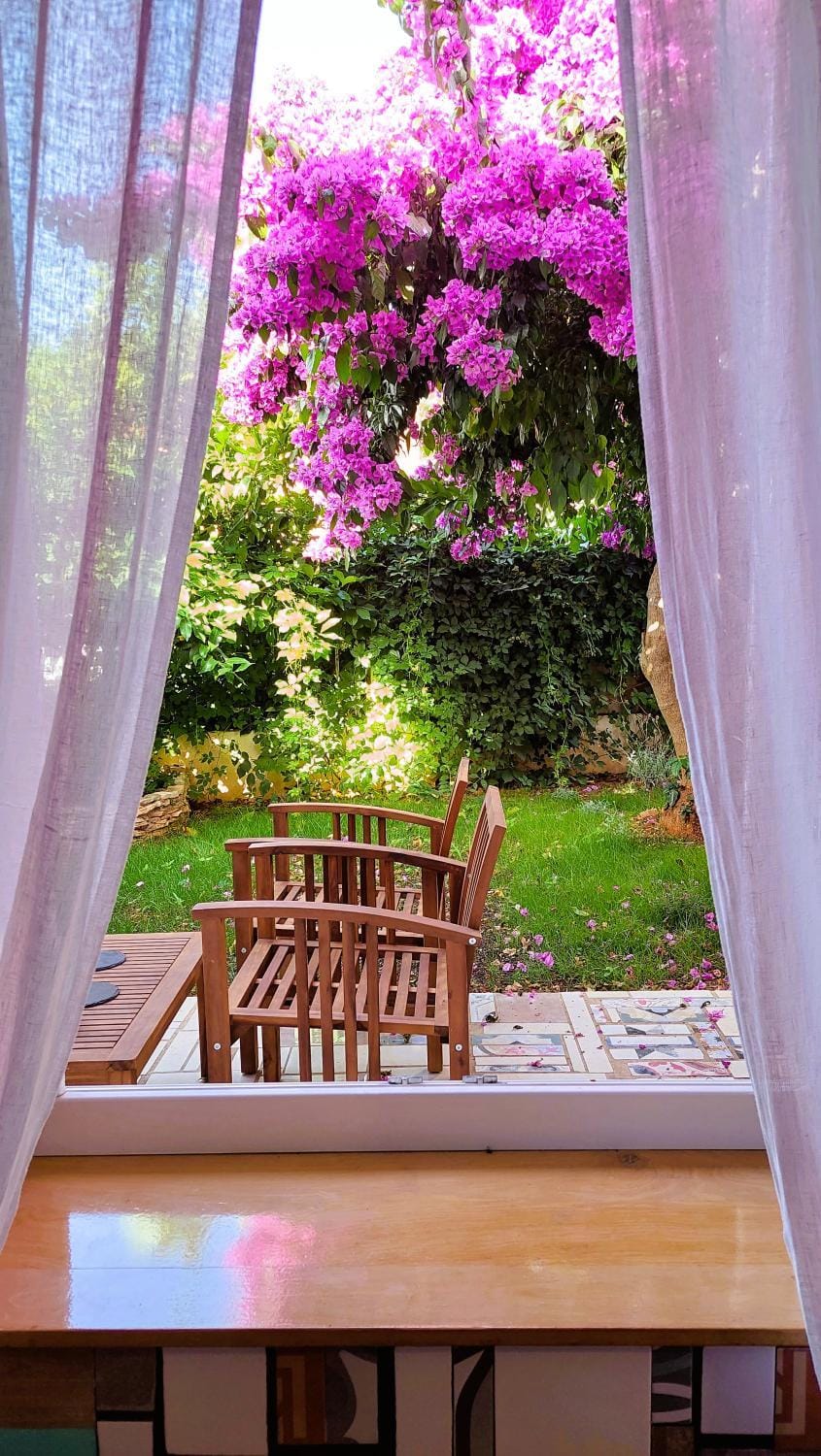 Patio, Day, Garden, Garden view