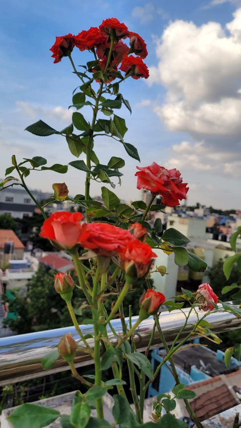 RVR Homes - Quality Rooms - Nr Bagmane Tech Park, Indiranagar, Gopalan Mall Vacation rental in Bengaluru