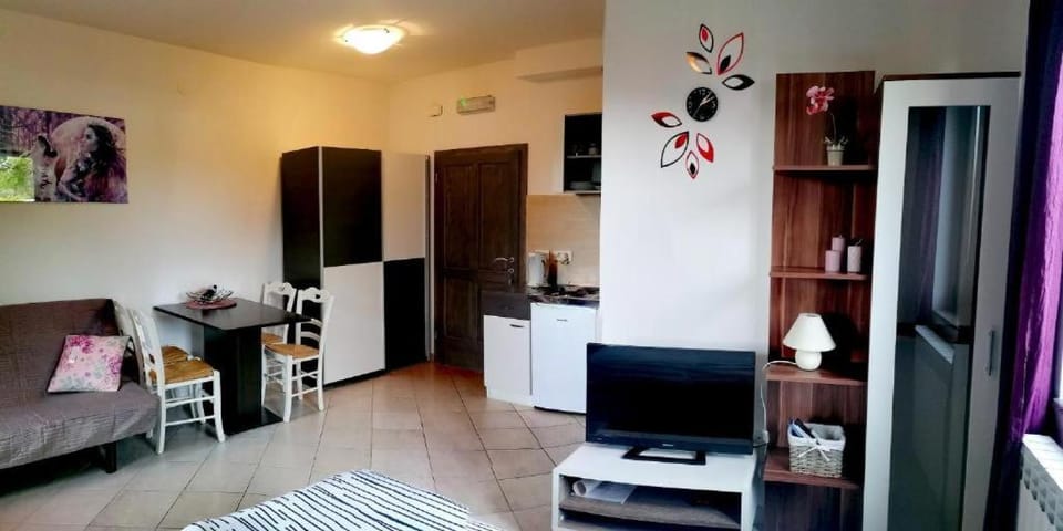 Studio Quint M Rovinj Apartment in Rovinj