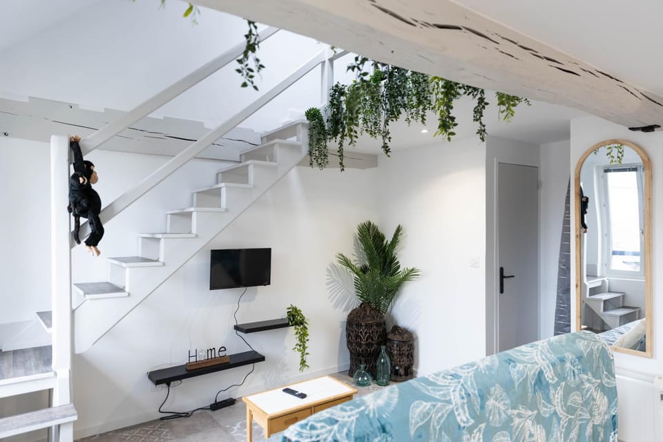 Doux Cocon Tropical au cœur du centre ville Apartment in Troyes
