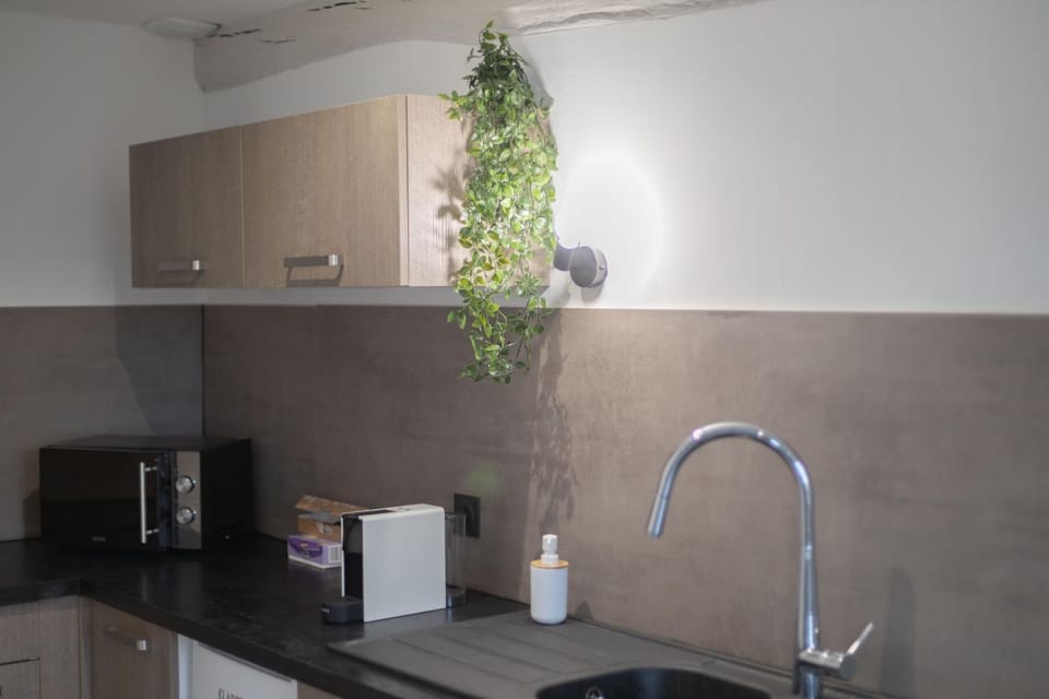 Doux Cocon Tropical au cœur du centre ville Apartment in Troyes