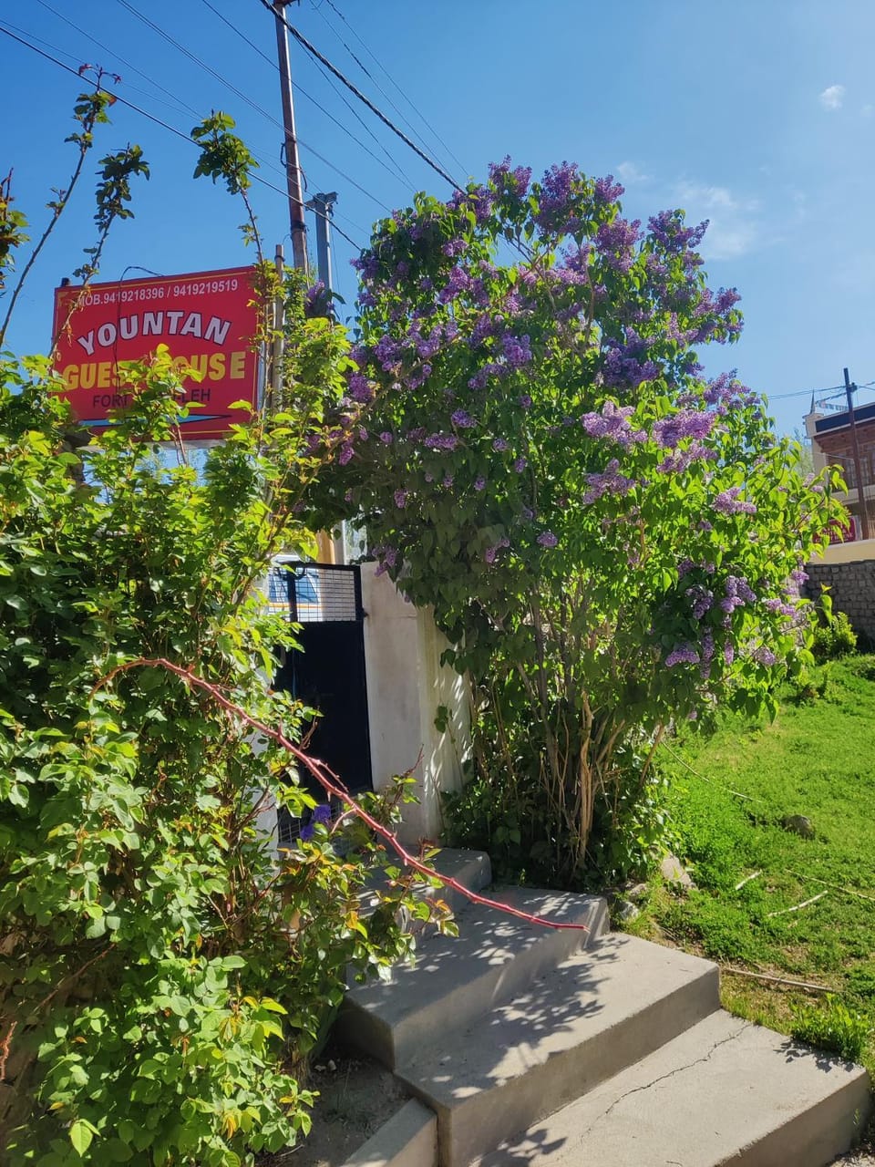 Yountan guest house Vacation rental in India