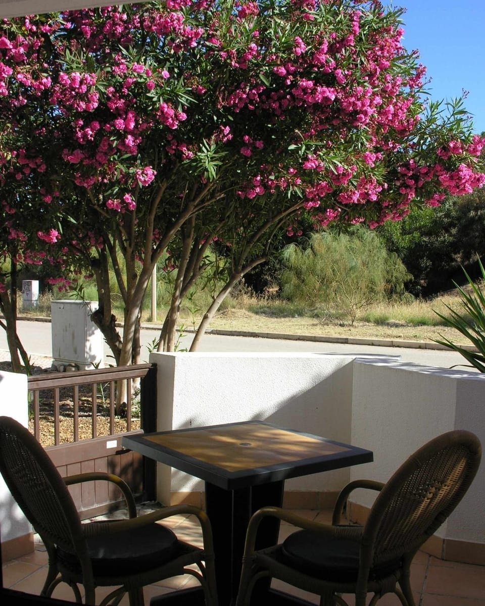 Garden, Balcony/Terrace