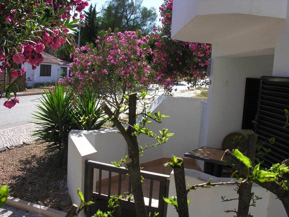 Garden, Balcony/Terrace