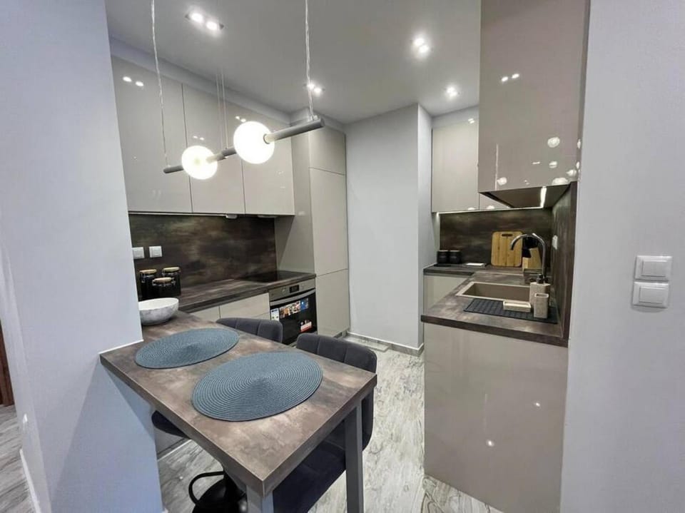 Kitchen or kitchenette, dishwasher, minibar, pet friendly, stove