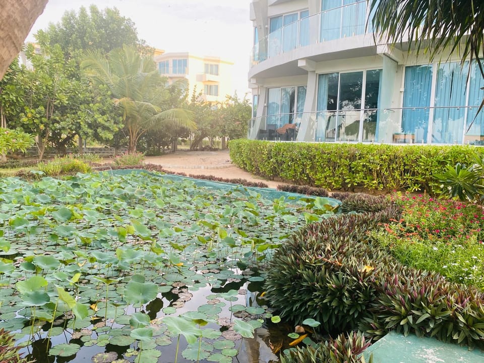 Lake view