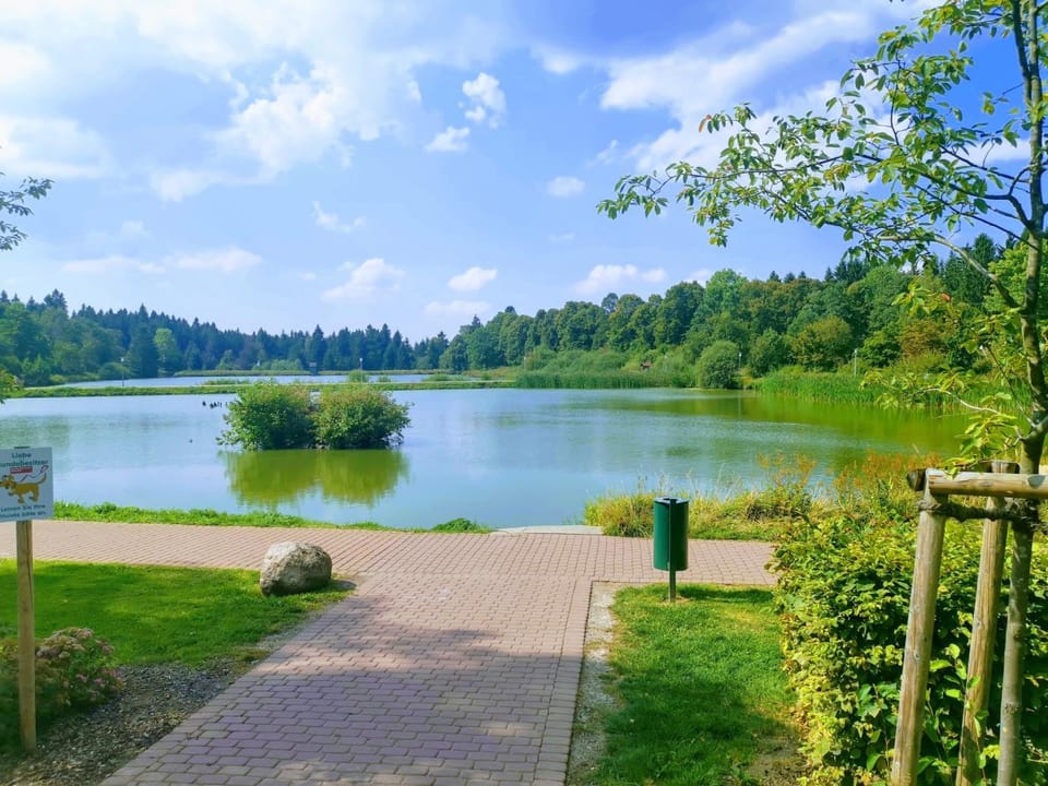 Hahnenklee mit Seeblick 219 Apartment in Goslar