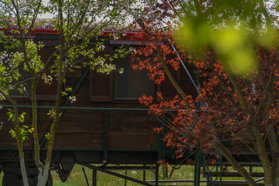 Train in the Forest Campground/ 
RV Resort in Decentralized Administration of Macedonia and Thrace