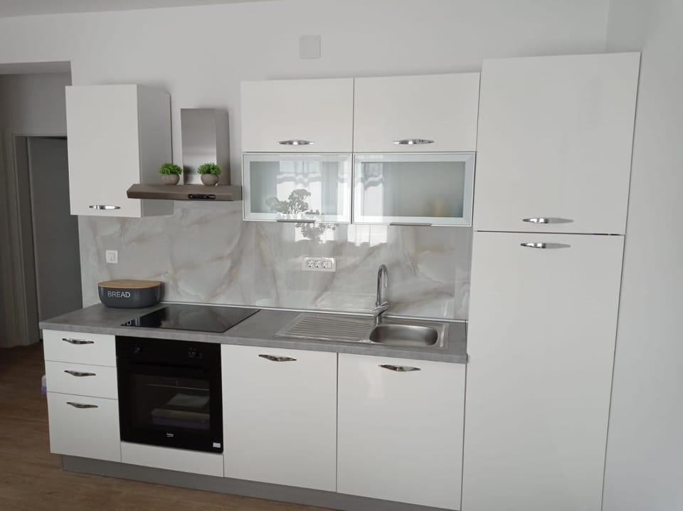 Apartman Franc S Apartment in Zadar County