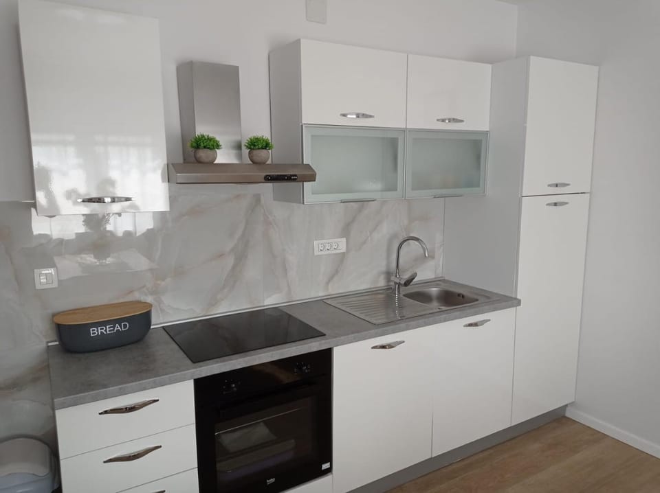 Apartman Franc S Apartment in Zadar County