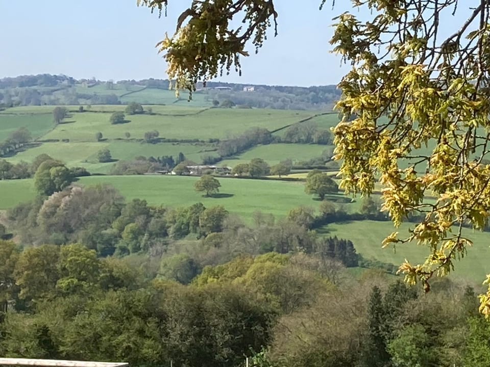 Natural landscape