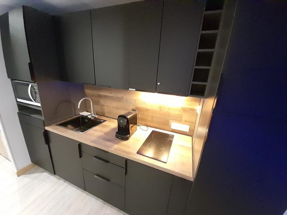 Kitchen or kitchenette, minibar, pet friendly, stove
