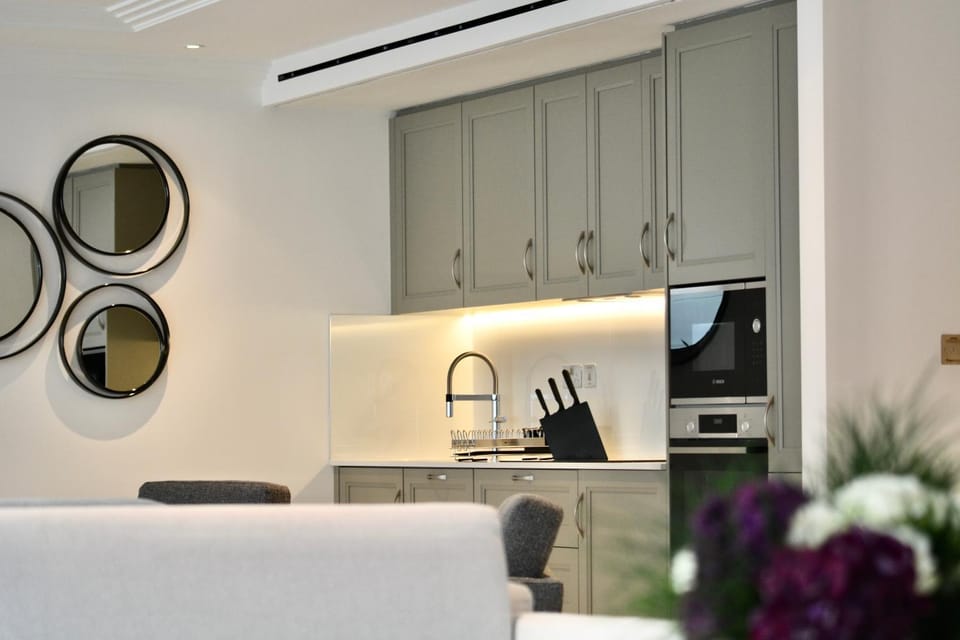 Kitchen or kitchenette, minibar, pet friendly, stove