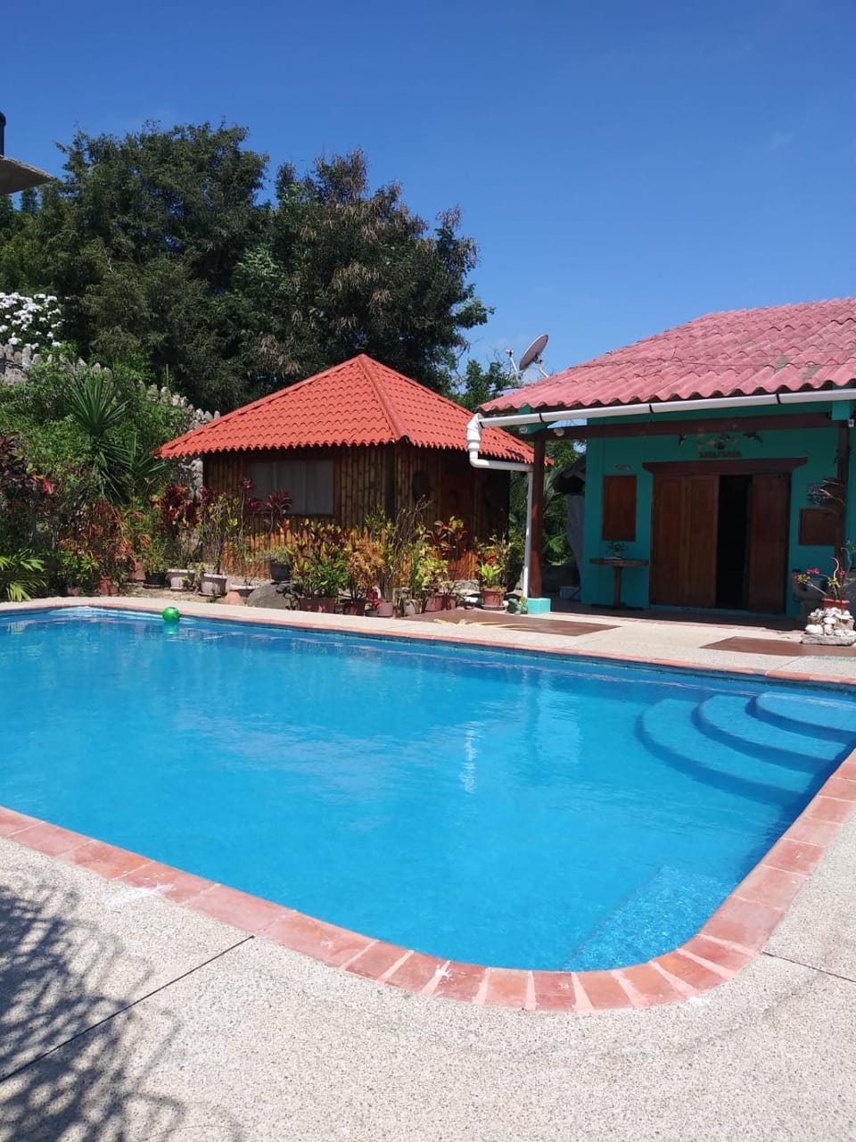 Pool view