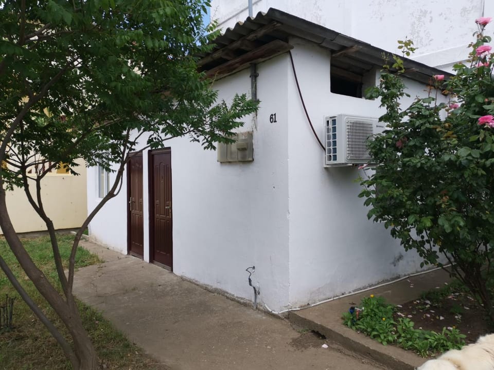 Casa Ioana Bed and Breakfast in Constanța County