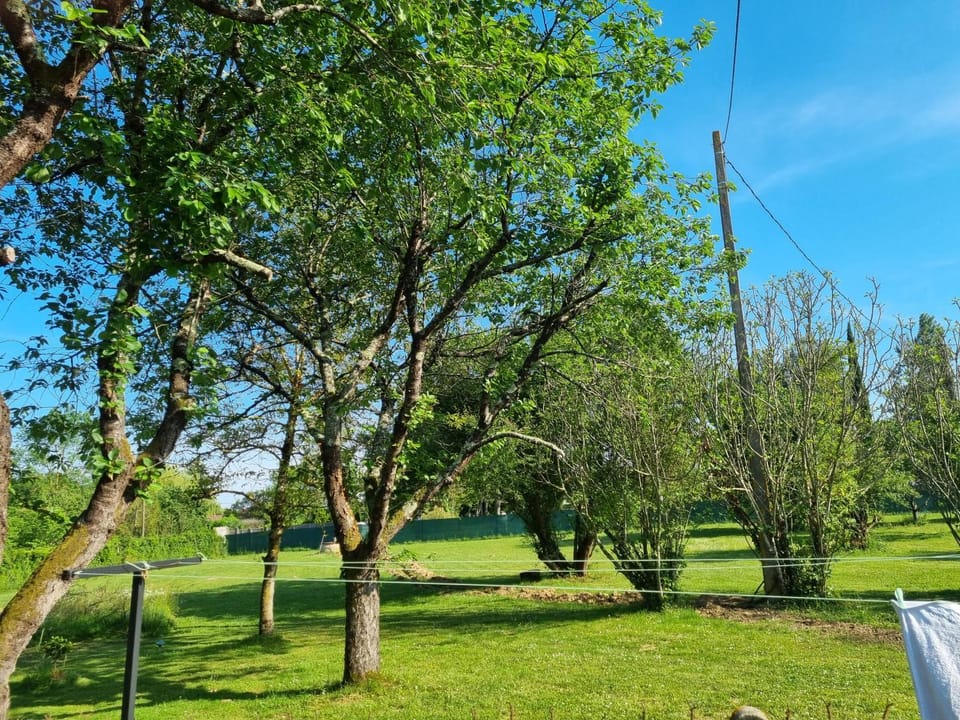 Les 3 cèdres House in Nouvelle-Aquitaine