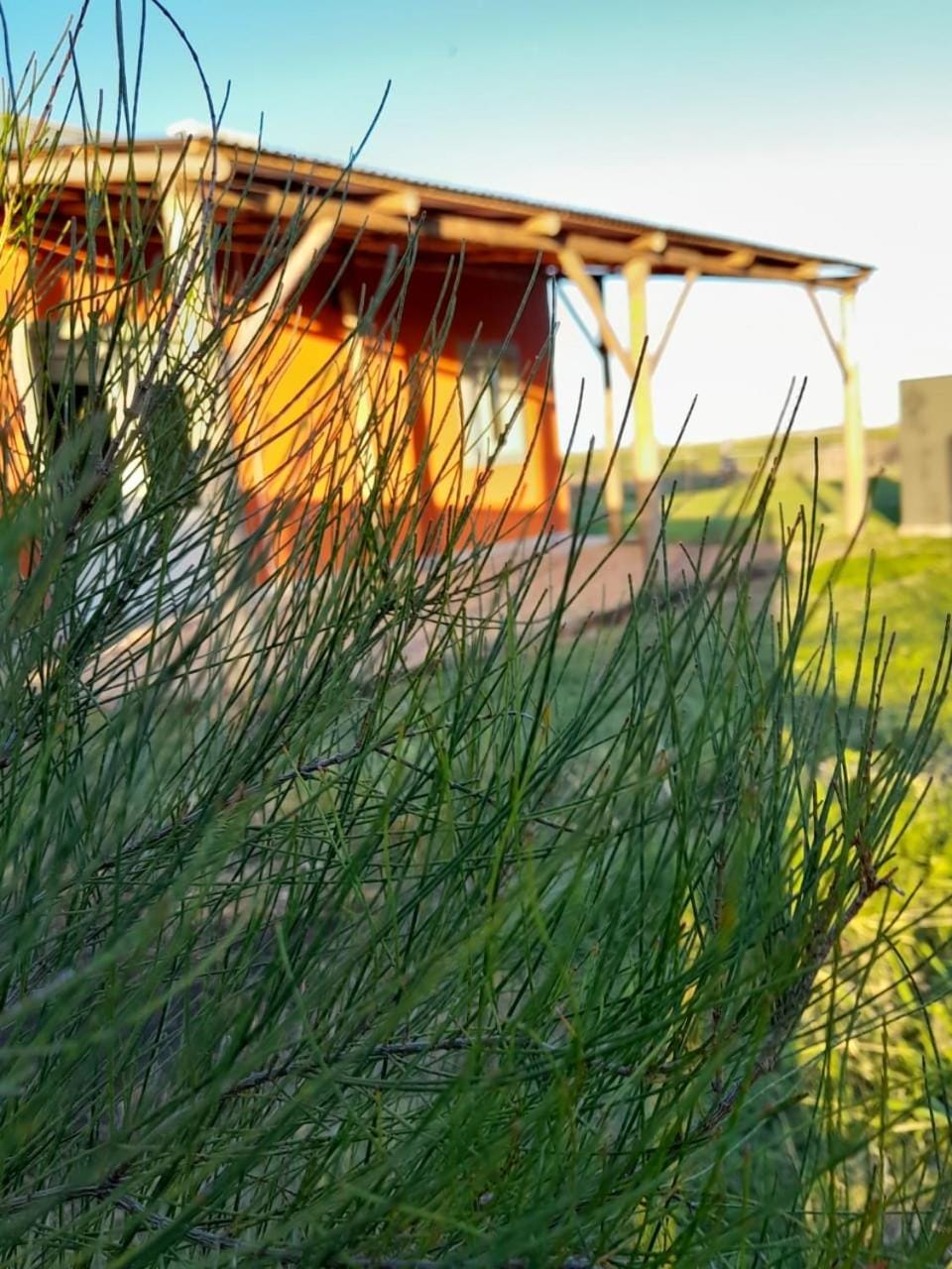 La Narcisa House in Buenos Aires Province