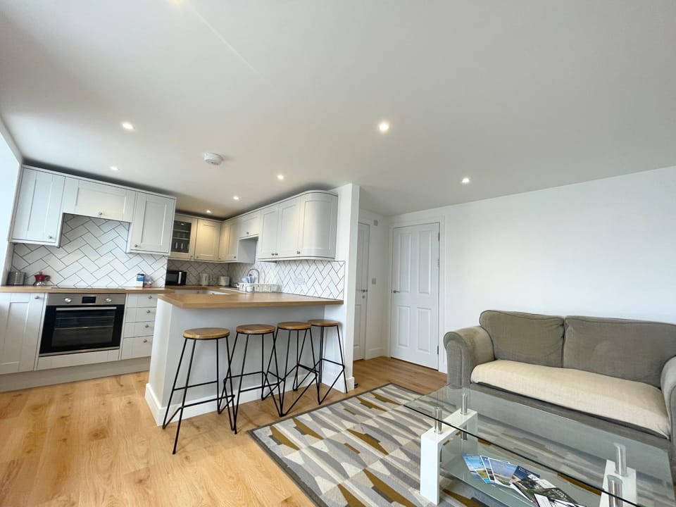 Kitchen or kitchenette, Living room, Seating area, Dining area, oven, stove, toaster