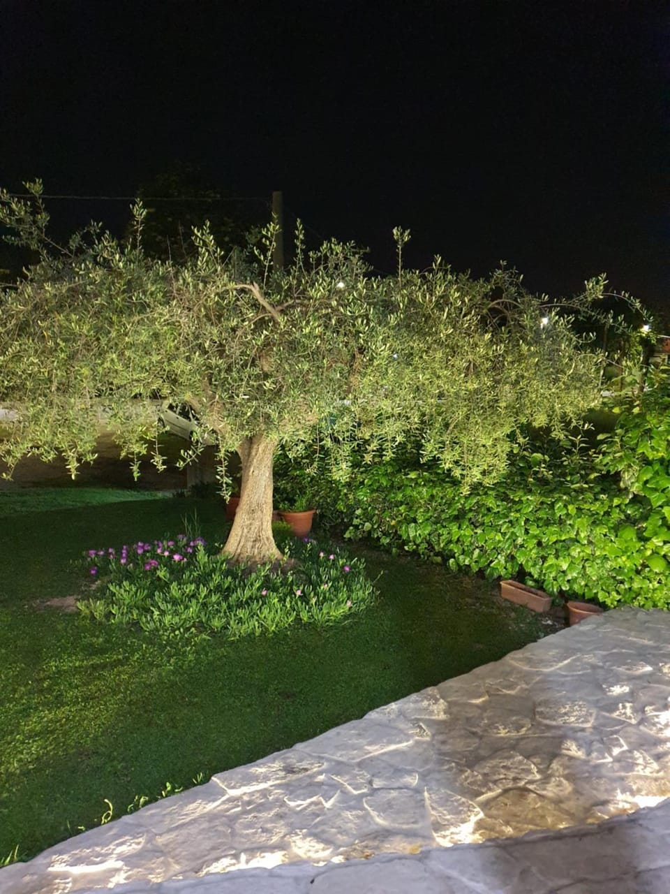 Casa Rosa Campground/ 
RV Resort in Abruzzo