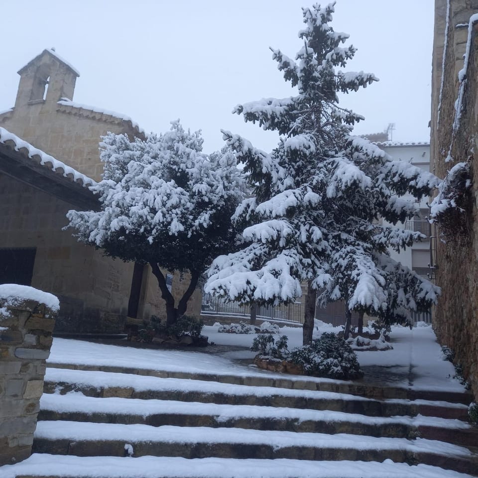 Winter
