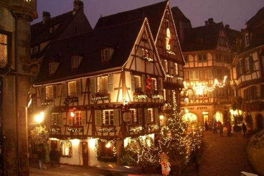 Narcisse Apartment in Colmar