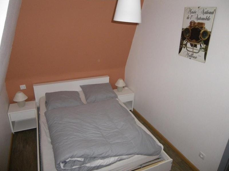 Narcisse Apartment in Colmar