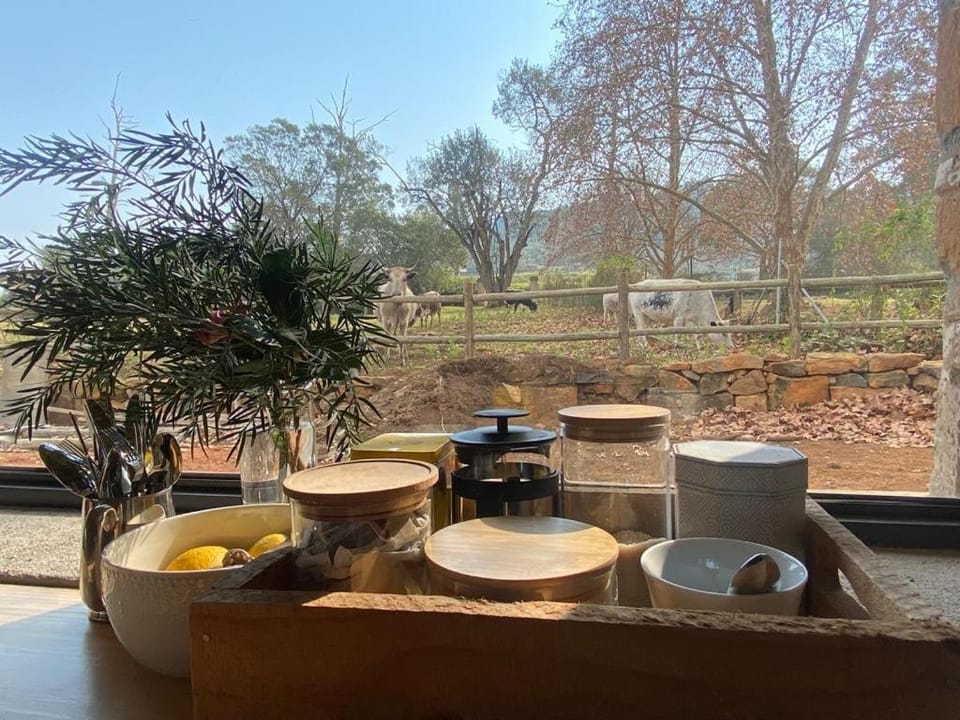 Yellowwoods Farm - WILLOUGHBYS COTTAGE and OLD STABLES COTTAGE House in KwaZulu-Natal