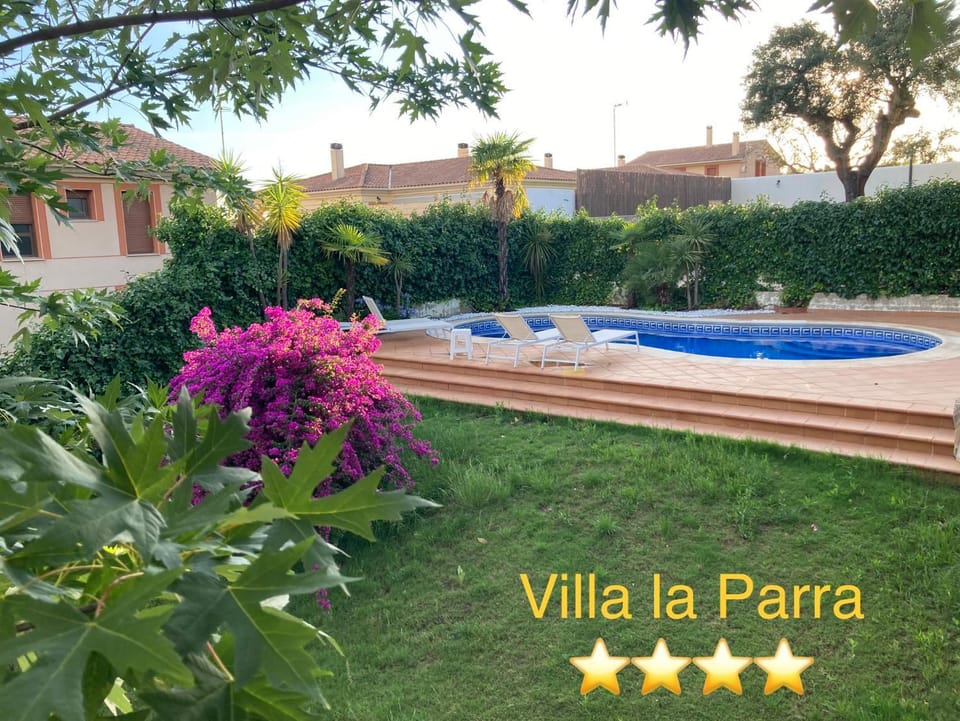 Garden, Swimming pool, Swimming pool
