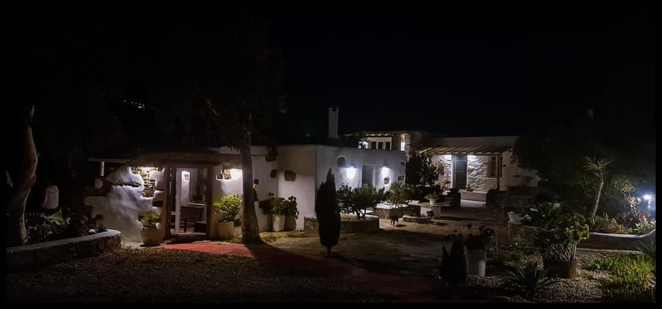 Property building, Garden view