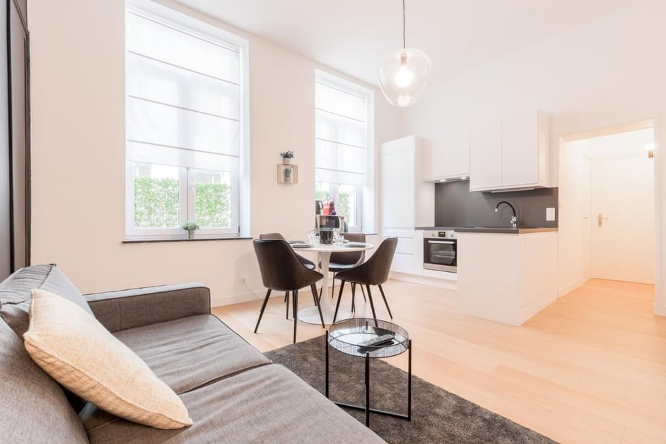 Nice apartment 2 bedrooms in Old Lille! Apartment in Lille
