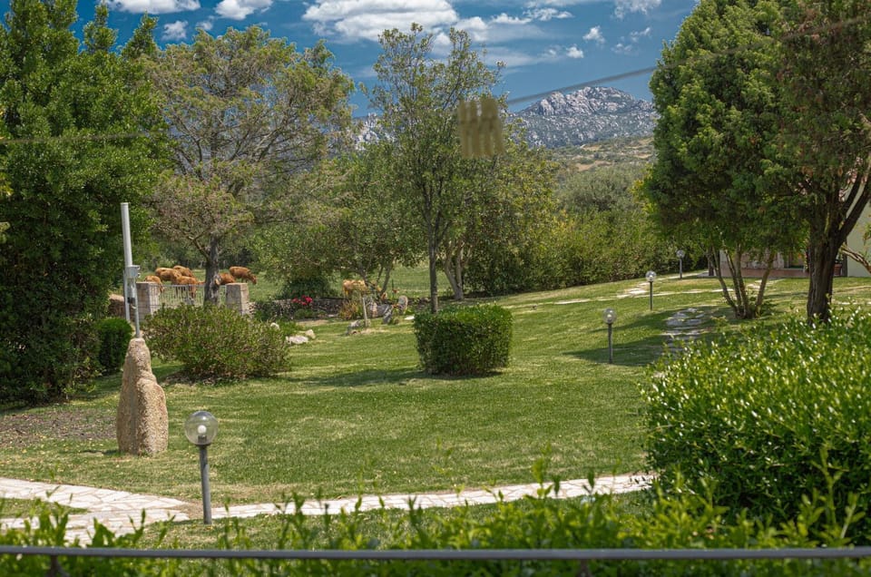 Natural landscape, Garden, Garden, Garden view