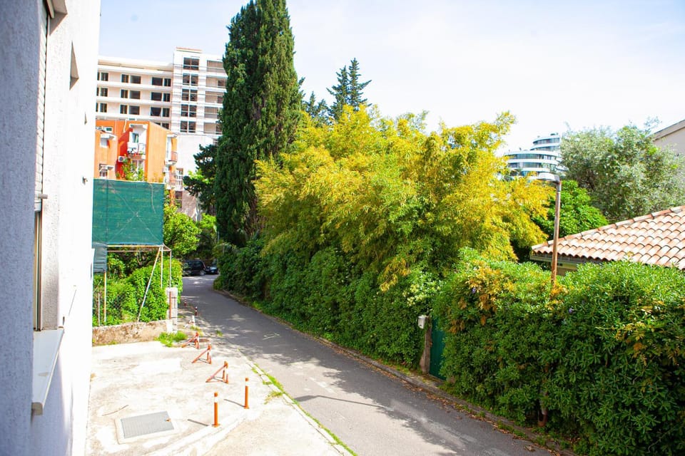Neighbourhood, Garden view