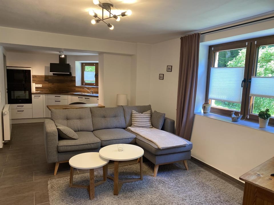 Kitchen or kitchenette, Living room, Seating area, Dining area