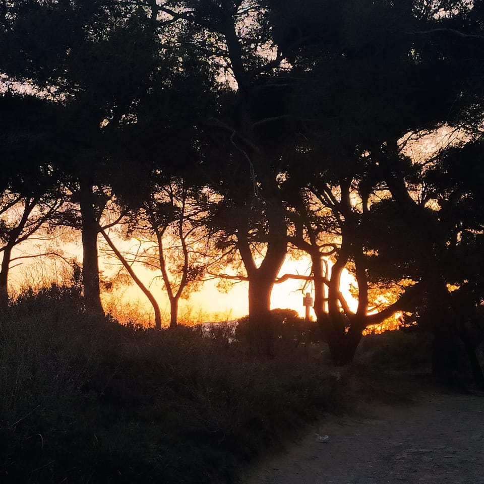 Sunset