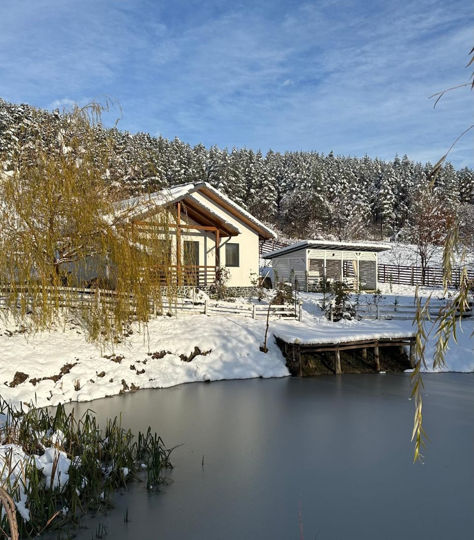 Natural landscape, Winter, Mountain view