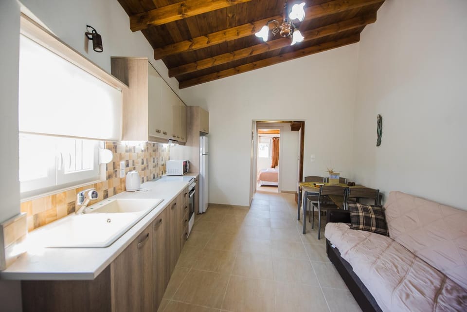 Kitchen or kitchenette, minibar, stove