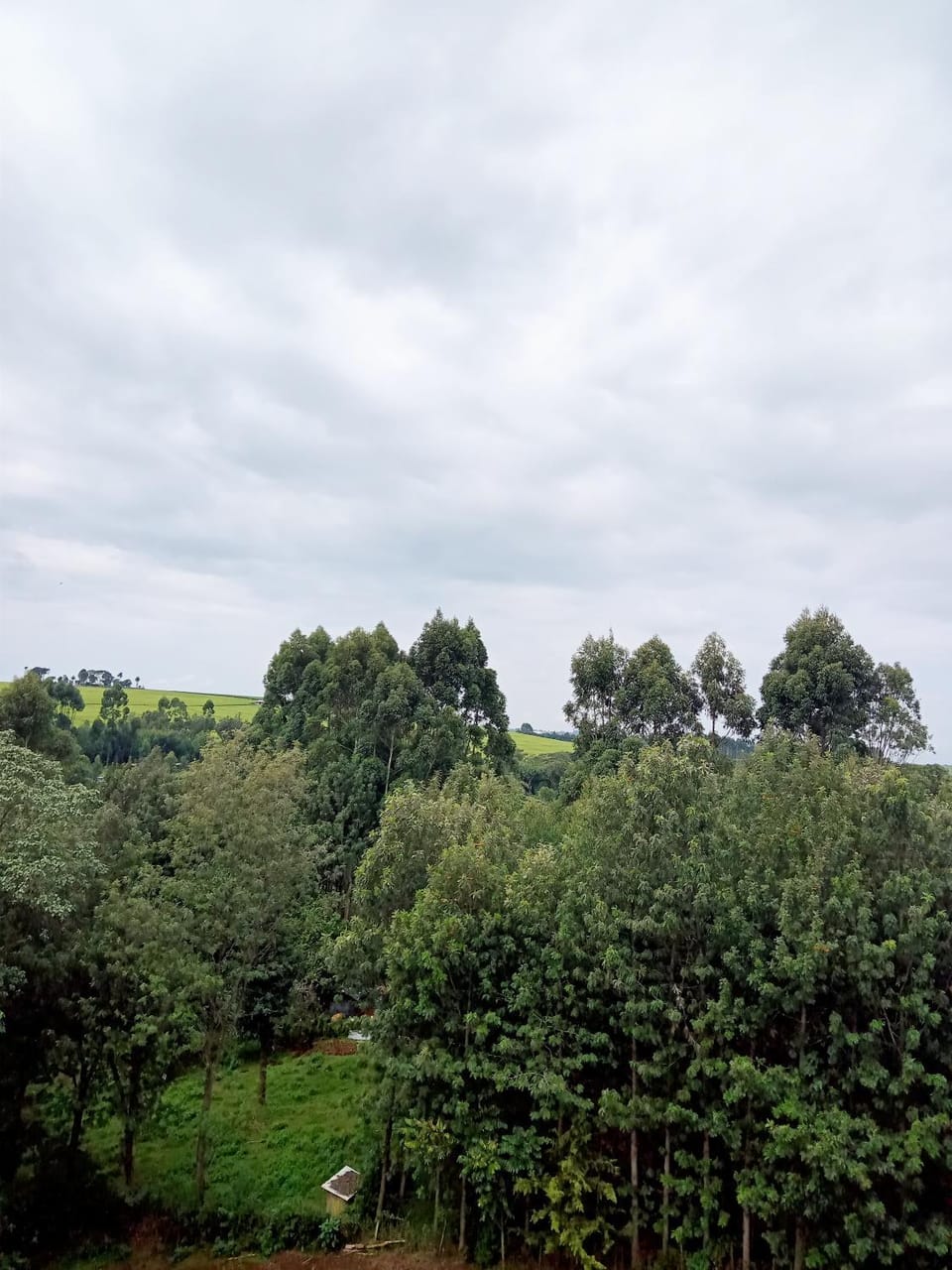 Cloud9 bnb kericho Apartment in Kenya