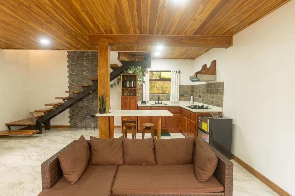 Living room, kitchen