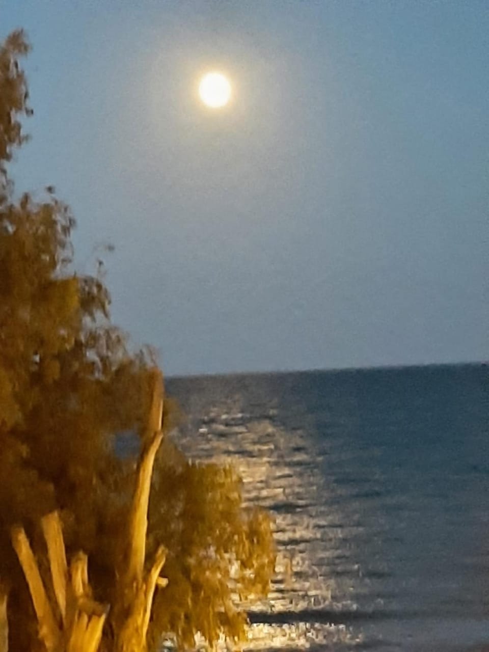 Night, Sea view