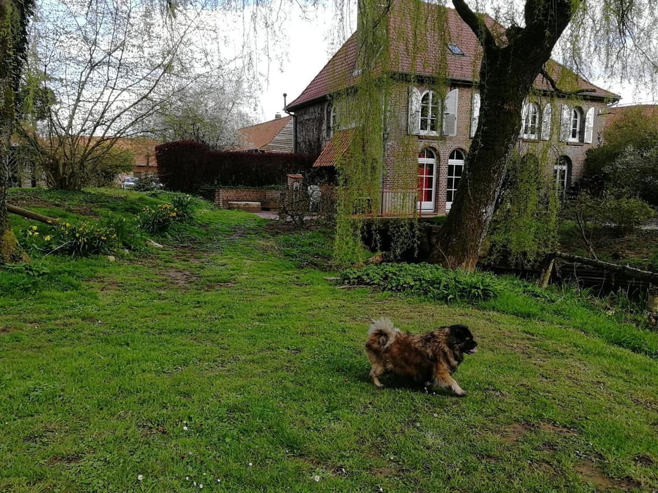 Property building, Garden