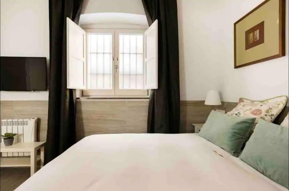 Bonito Loft San Miguel Centro Catedral Wifi Apartment in Granada