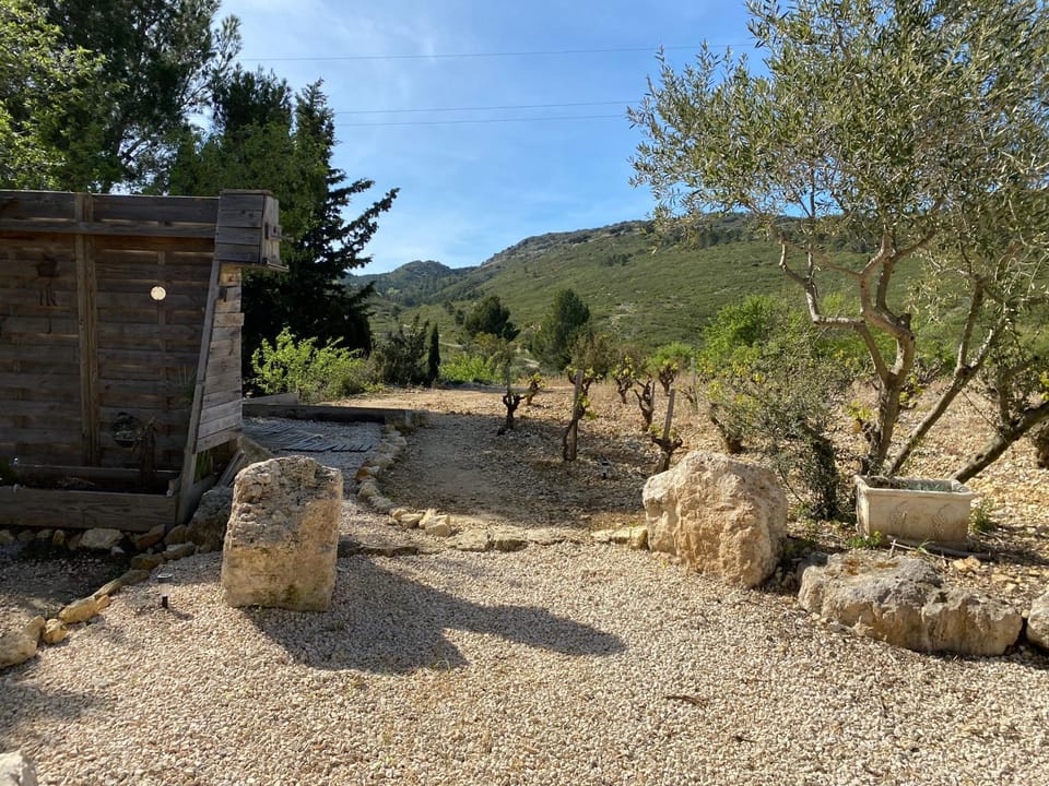 Spring, Day, Natural landscape, Garden, Garden view, Mountain view