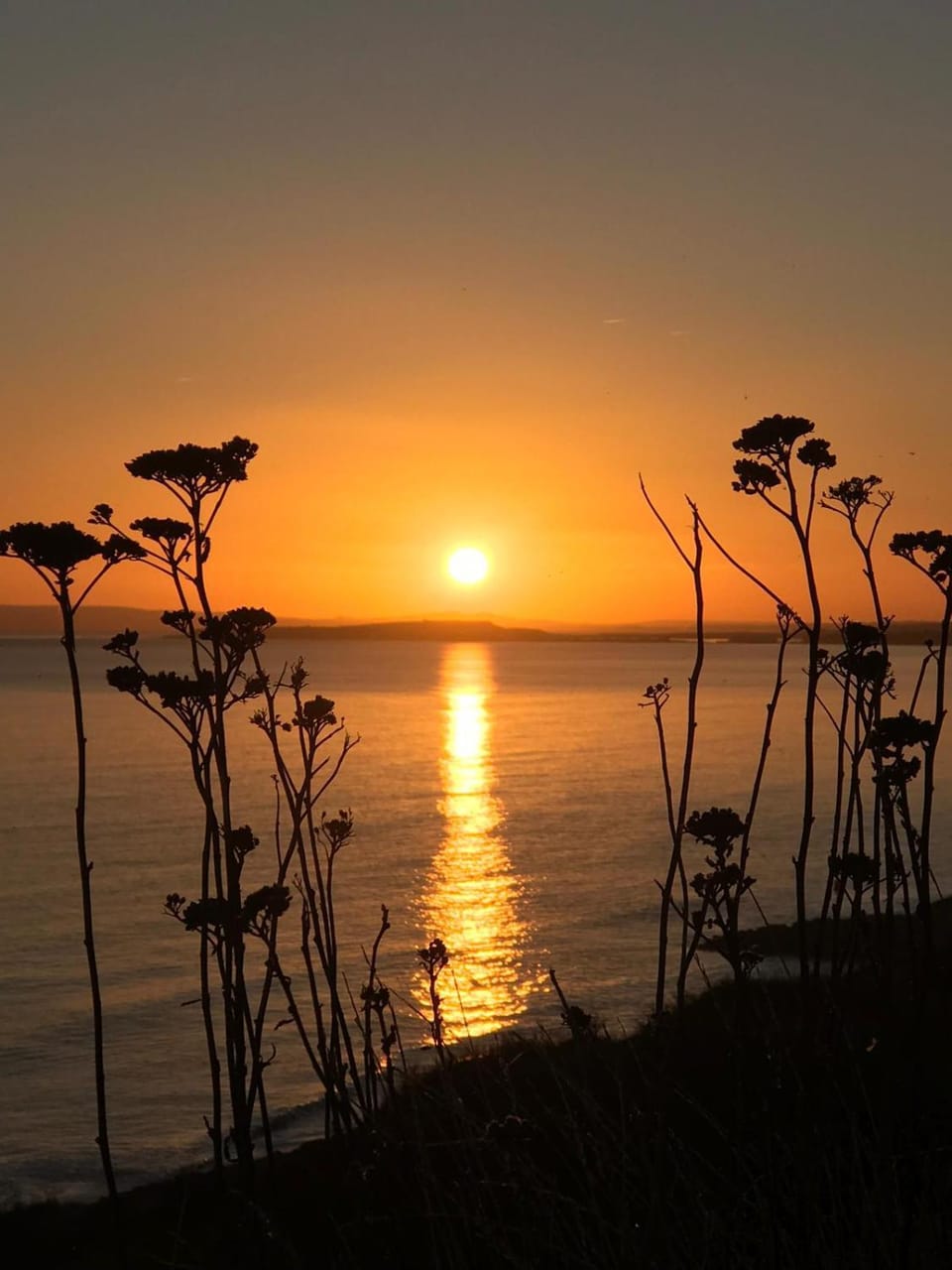 Natural landscape, Beach, Sunset