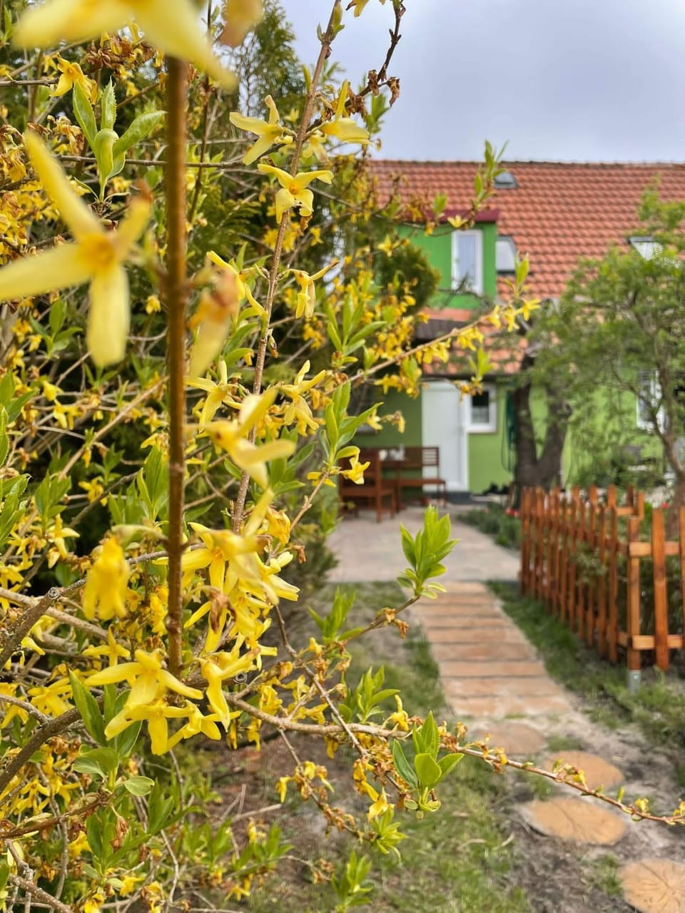 Property building, Day, Garden, Garden view