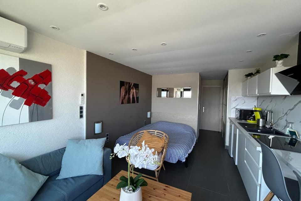 Naturiste Cap d'Agde Port Vénus 212 Apartment in Agde