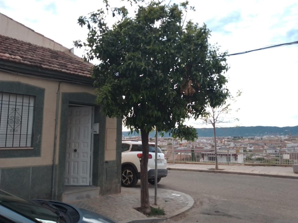 Property building, Facade/entrance, Neighbourhood, Street view, Parking