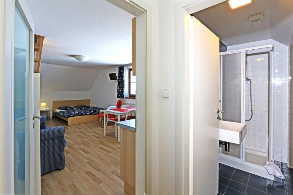 Apartmány Fox Apartment in Erzgebirgskreis